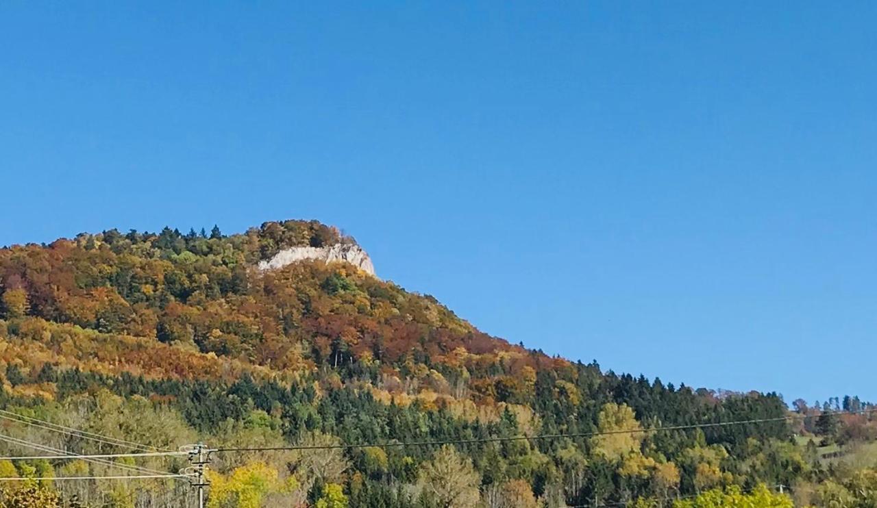 Ferienappartement Albstadt Exteriér fotografie